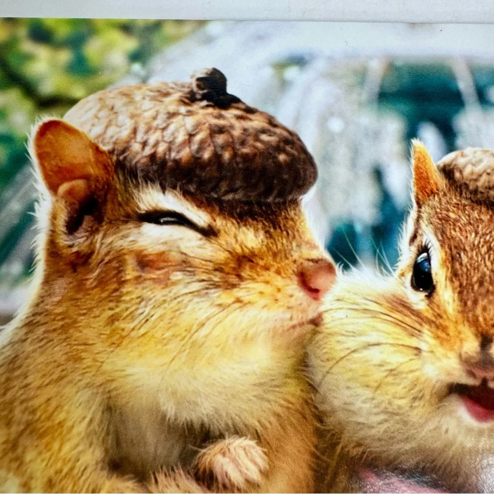 6 Avanti Greeting cards - chipmunk couple Holiday: Valentine’s Day